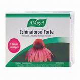 Echinaforce Forte