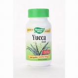 Yucca Stalk