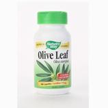 Olive Leaf Herbal Single