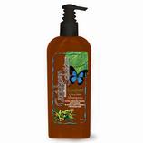 Rain Forest Citrus Mint Natural Shampoo